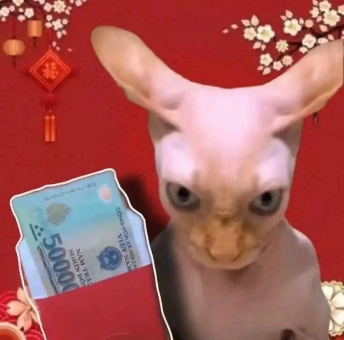 Meme mèo Tết cầm lì xì