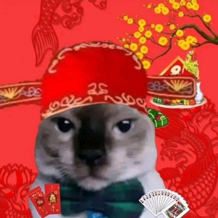 Meme mèo Tết cười xỉu