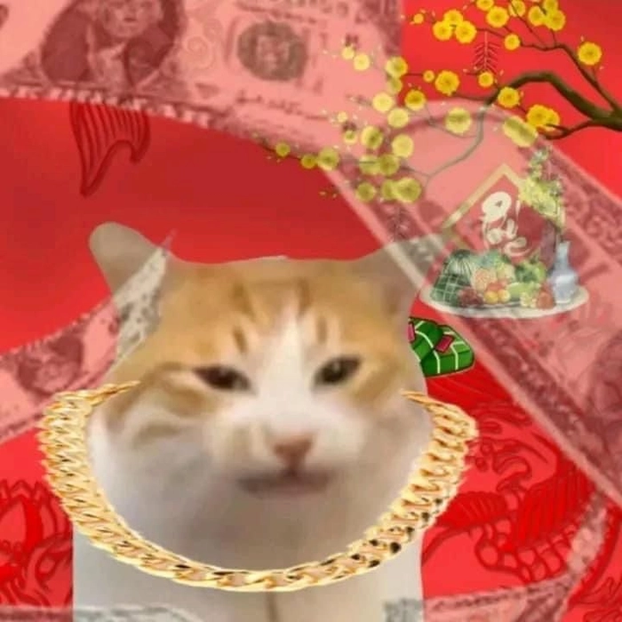 Meme mèo Tết đại gia