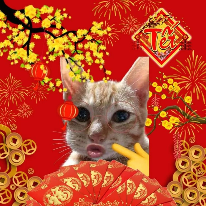 Meme mèo Tết dễ thương