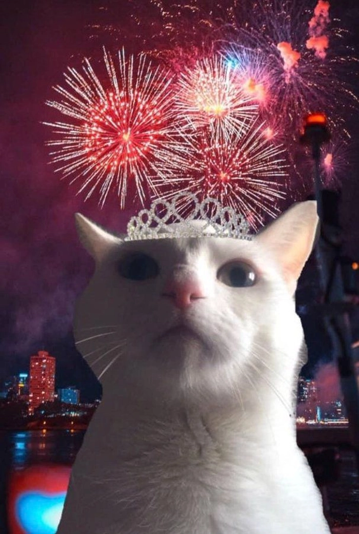 Meme mèo Tết đi countdown