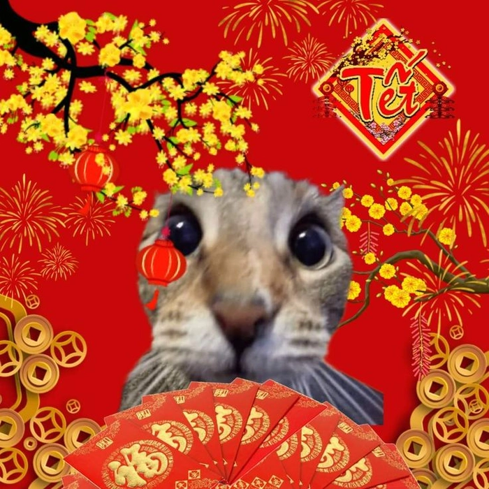 Meme mèo Tết đòi lì xì