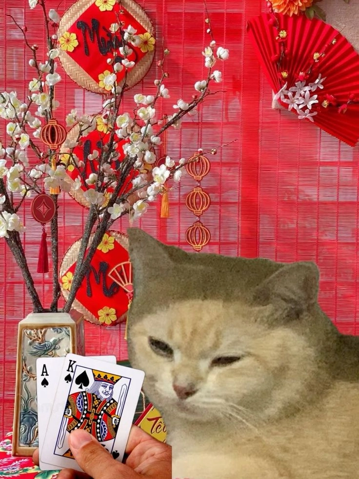 Meme mèo Tết nằm phè