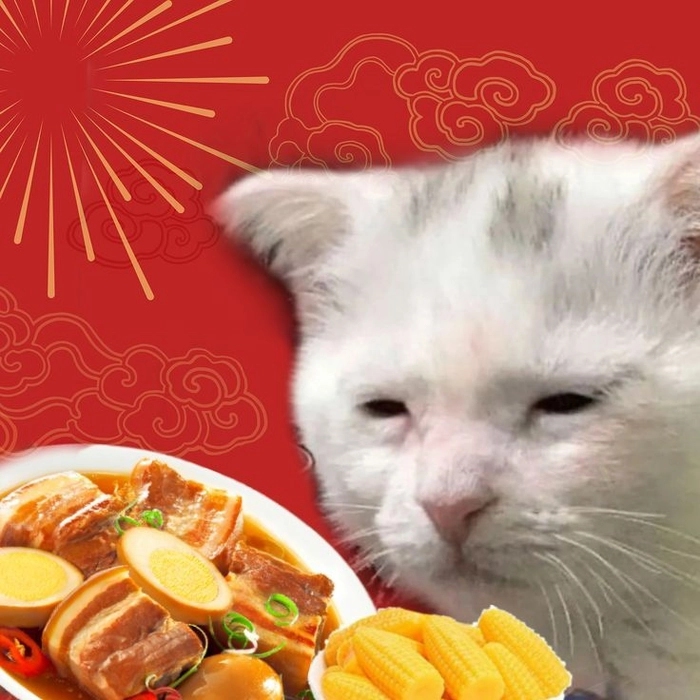 Meme mèo Tết ngám ngẩm vs đồ ăn