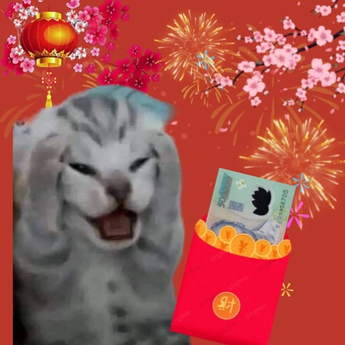 Meme mèo Tết ngáo ngơ
