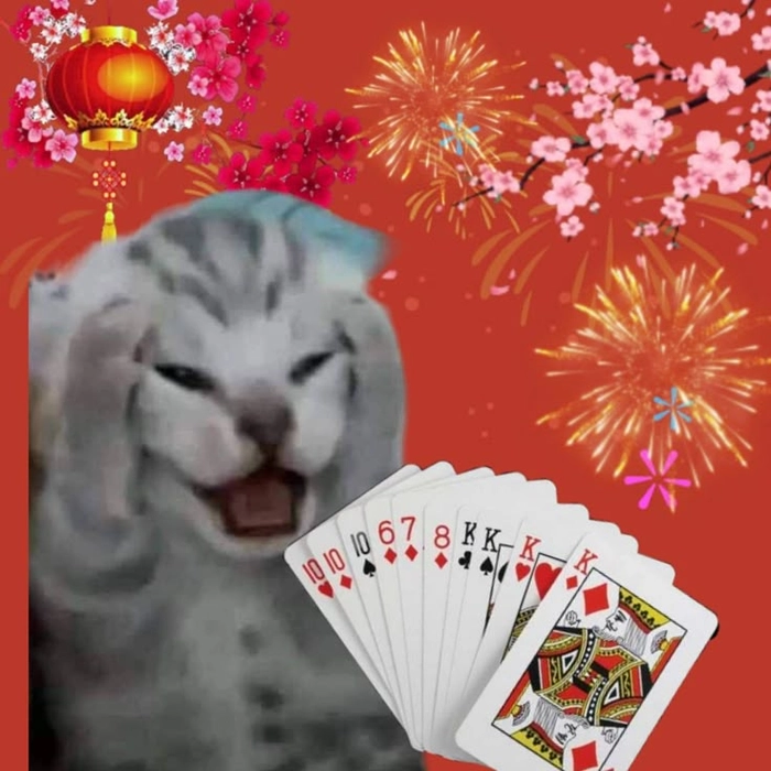 Meme mèo Tết ôm đầu chơi Tiến lên
