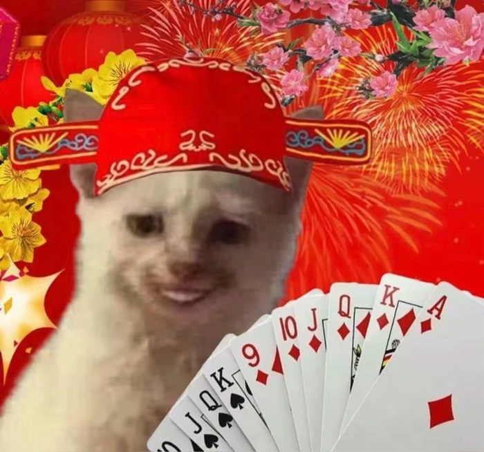 Meme mèo bựa ngày Tết