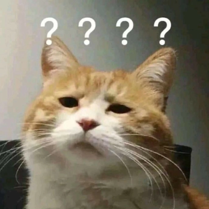 Meme mèo cam hỏi chấm không thể phản biện