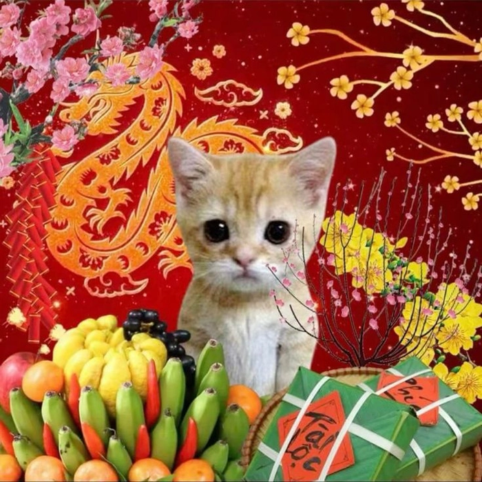 Meme mèo chúc Tết bá đạo
