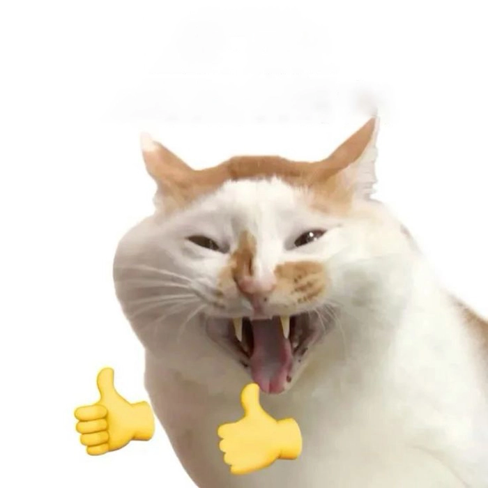 Meme mèo cười like siêu dễ thương