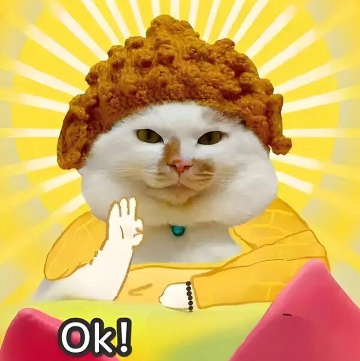 Meme mèo cute ok dễ thương