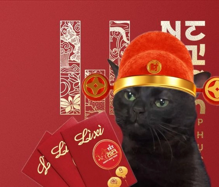 Meme mèo đón Tết