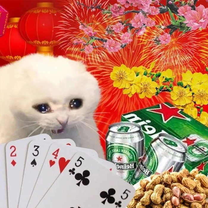 Meme mèo đón giao thừa