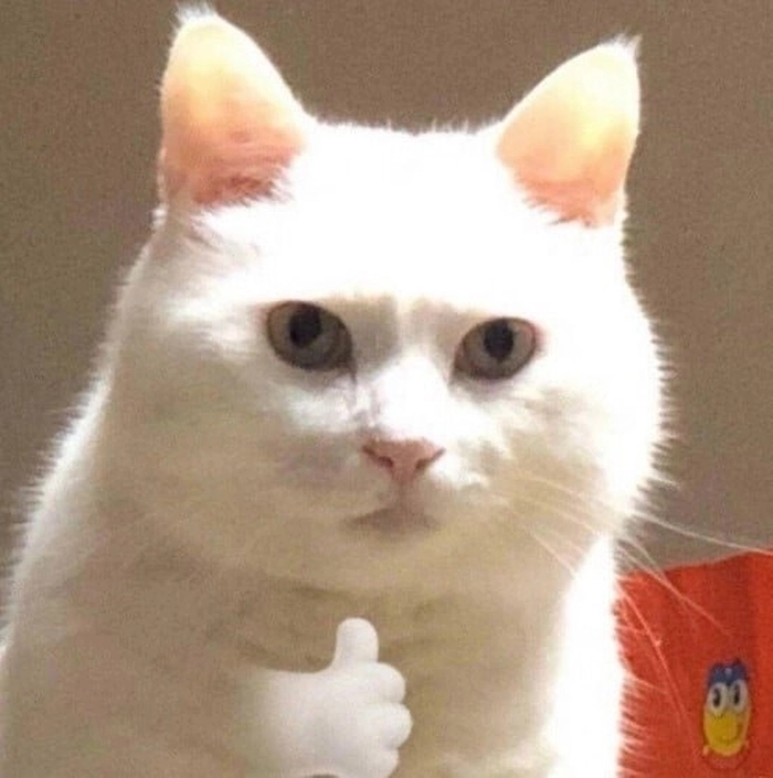 Meme mèo giơ like đồng tình nhẹ