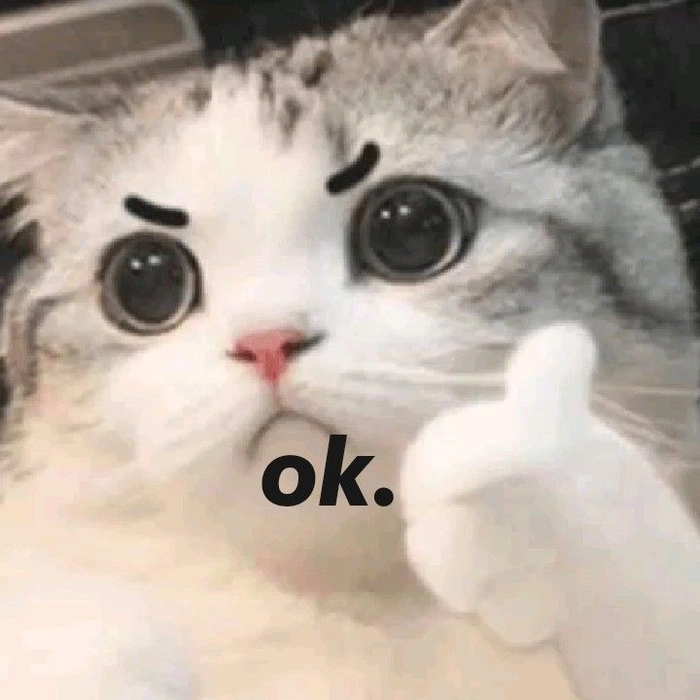 Meme mèo khóc ok siêu hài