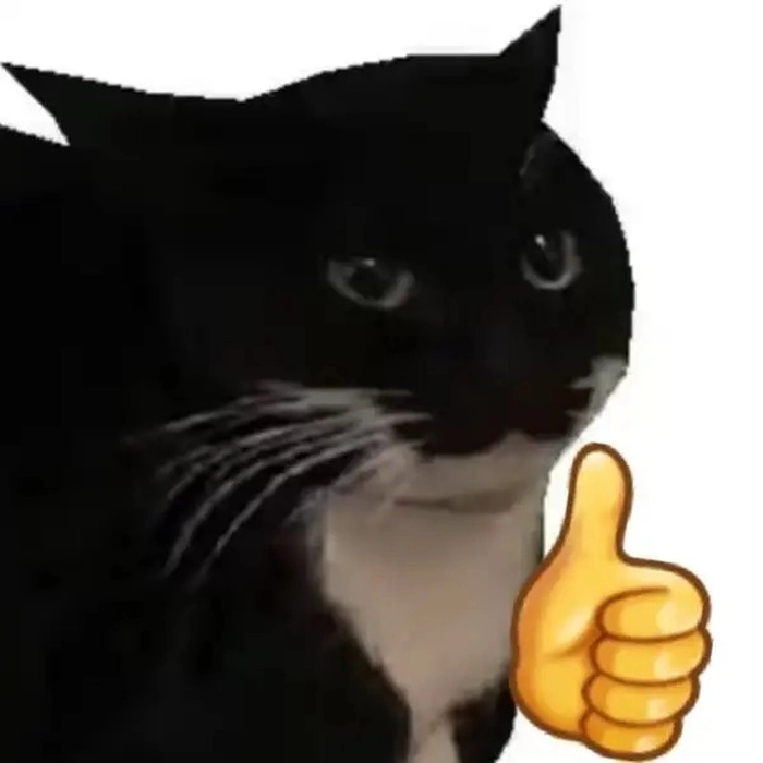 Meme mèo like ngơ ngác nhưng gật gù