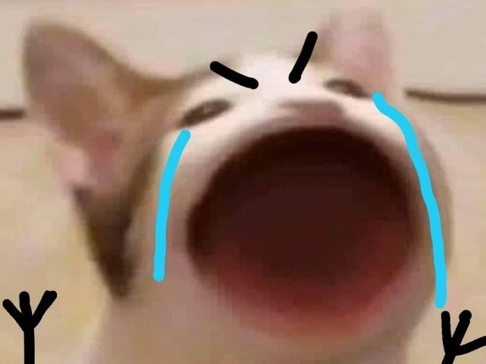 Meme mèo miệng mở to
