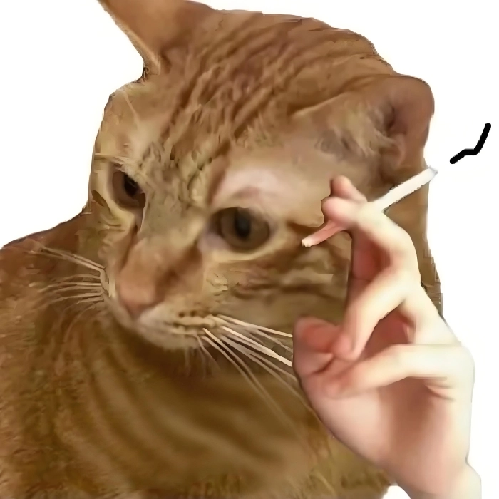 Meme mèo ngồi suy nghĩ