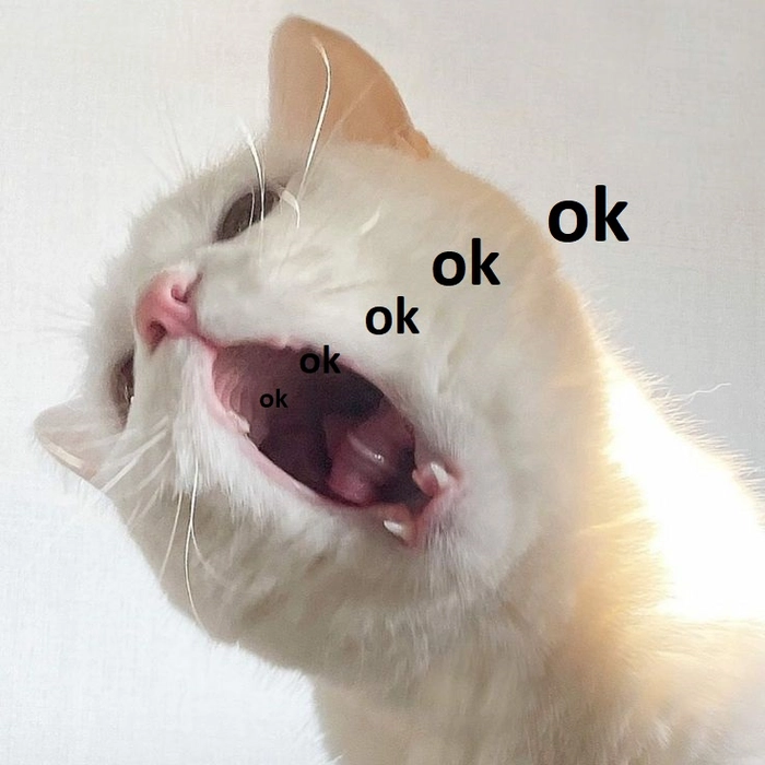 Meme mèo ok kiểu bất cần
