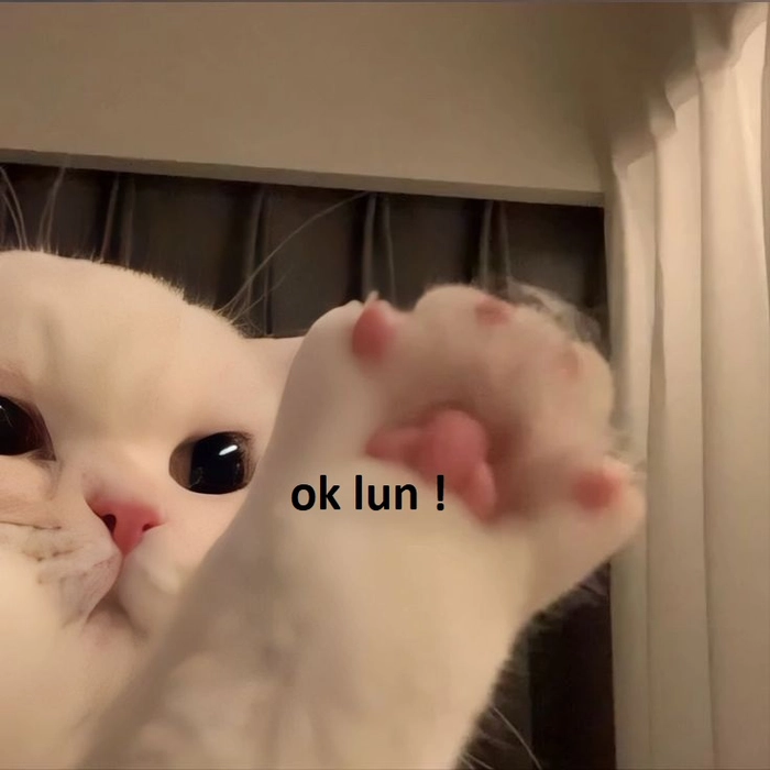 Meme mèo oki mặn mà