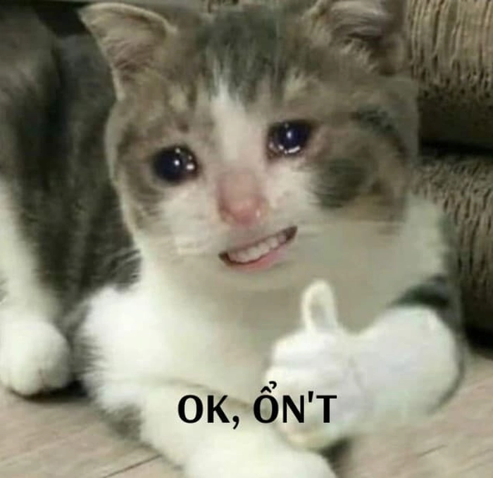 Meme mèo thả like đúng mood
