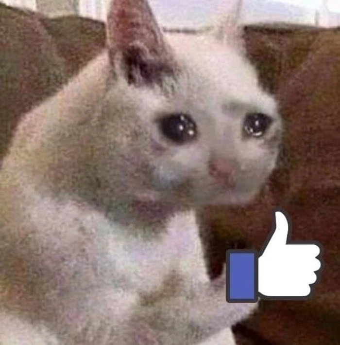 Meme mèo thả like không cảm xúc