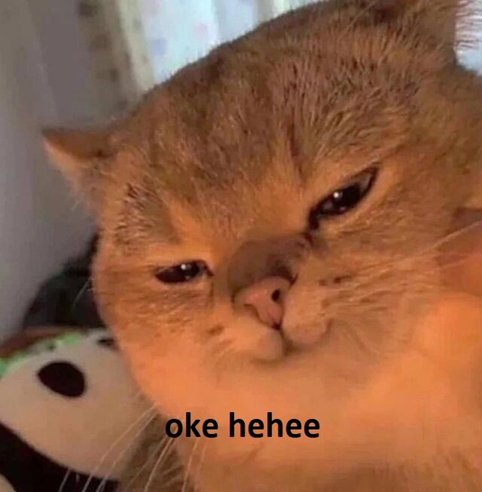 Meme ok mèo gật đầu đồng ý