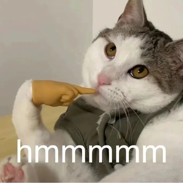 Meme overthinking style Tây