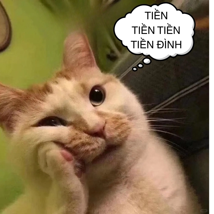 Meme suy ngẫm vui nhộn