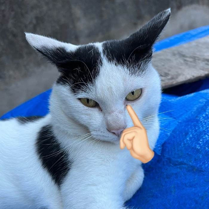 Meme suy nghĩ chuẩn dân chơi