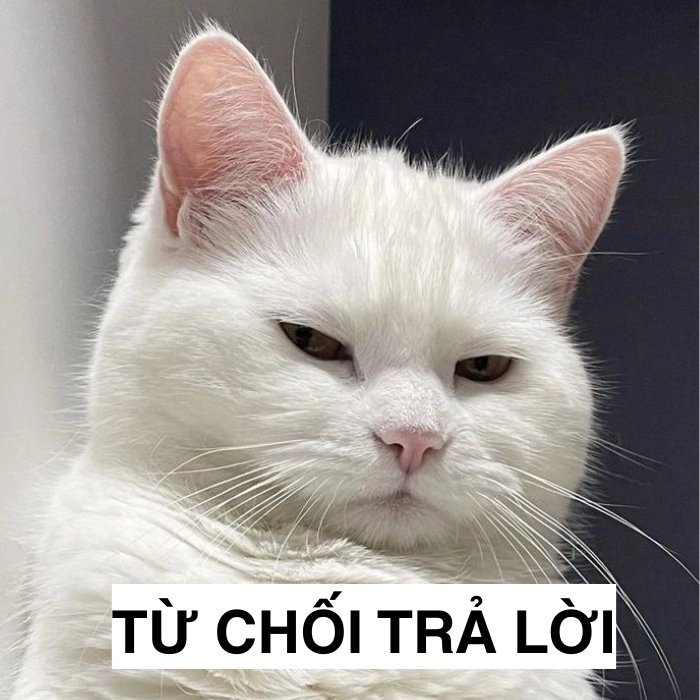 Meme từ chối đầy ẩn ý