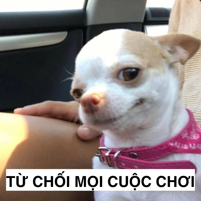Meme từ chối gây bão mạng