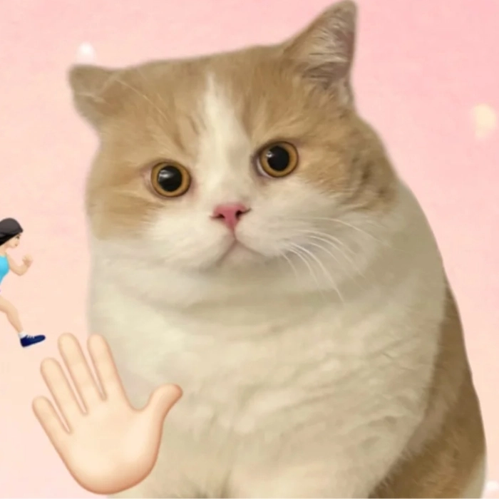 Meme từ chối kiểu hài