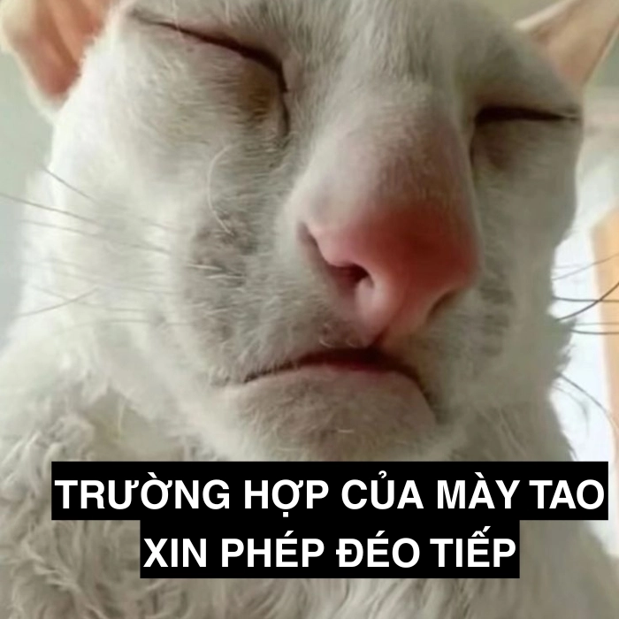 Meme từ chối nhận tình cảm