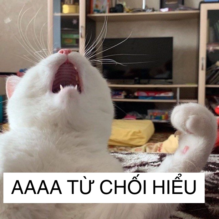 Meme từ chối nhìn là hiểu