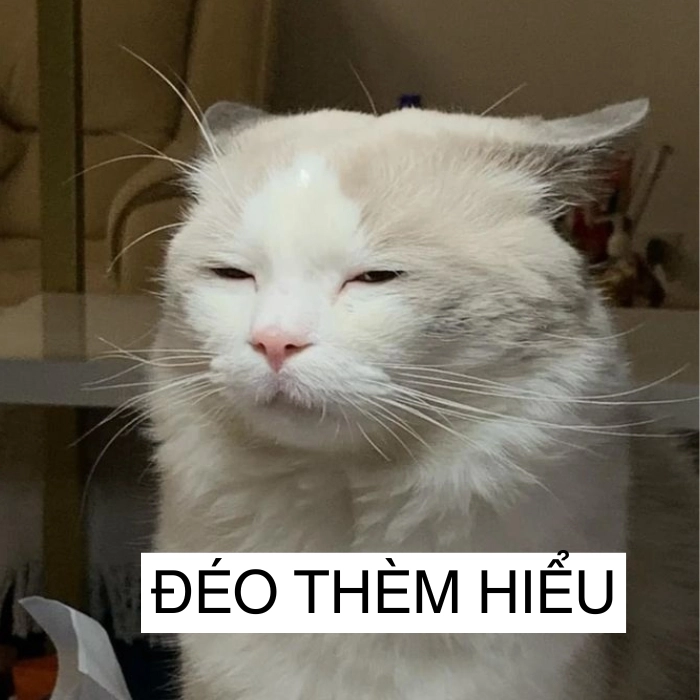 Meme từ chối với biểu cảm đỉnh cao