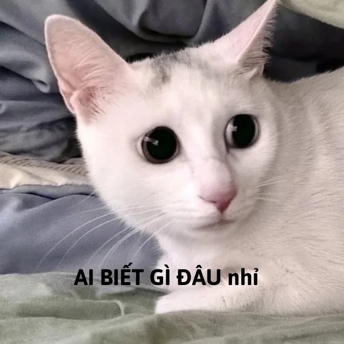 ai biết gì đâu meme mặt buồn