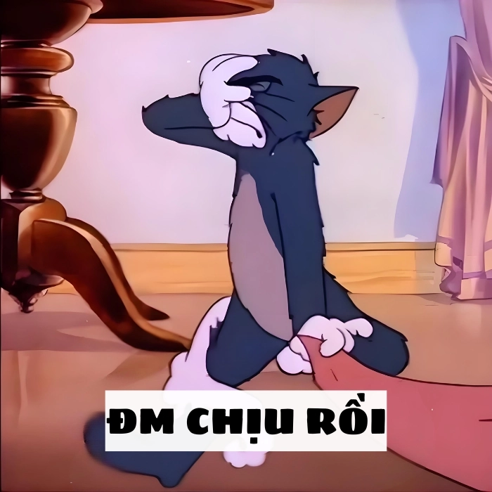 ảnh chế meme tom and jerry hài hước