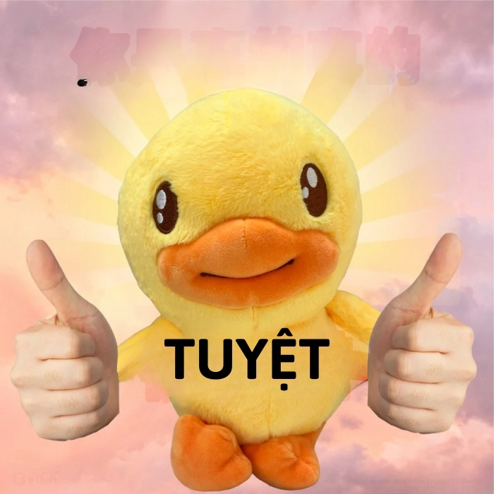 ảnh con vịt meme tuyệt