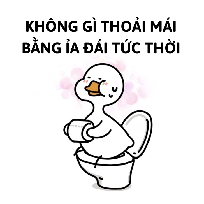 ảnh meme con vịt bựa chế