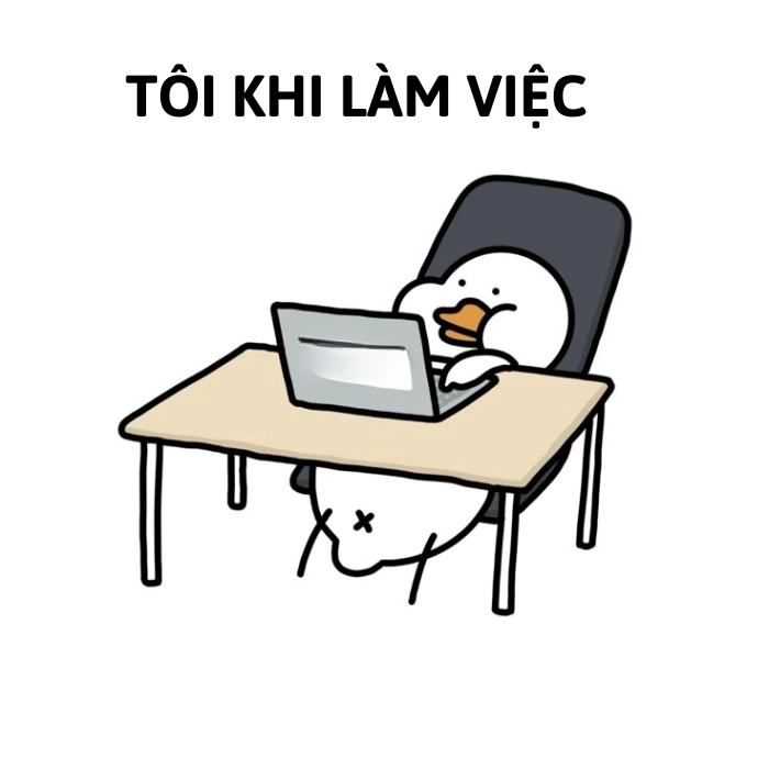 ảnh meme con vịt làm việc