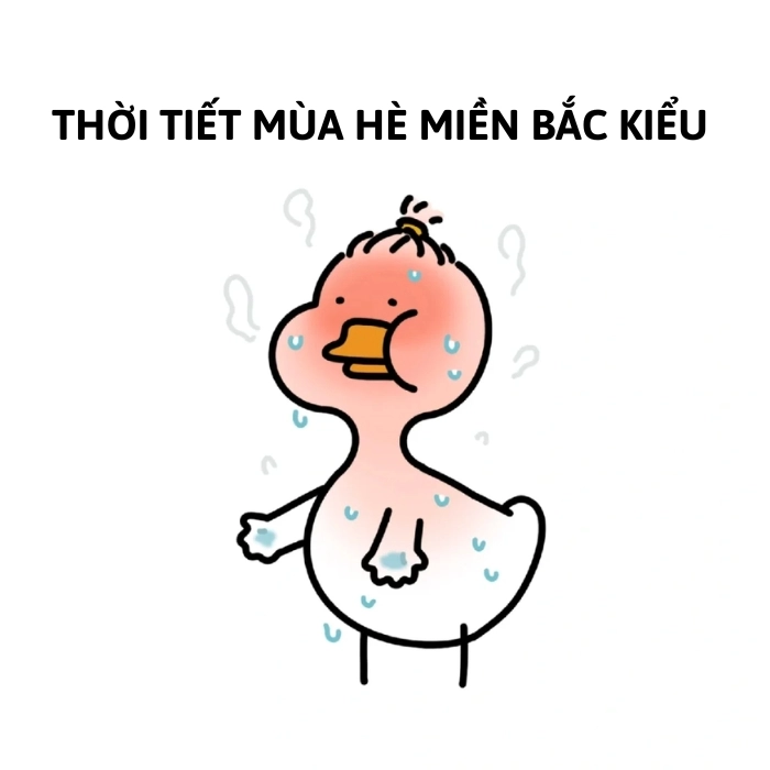 ảnh meme con vịt nóng