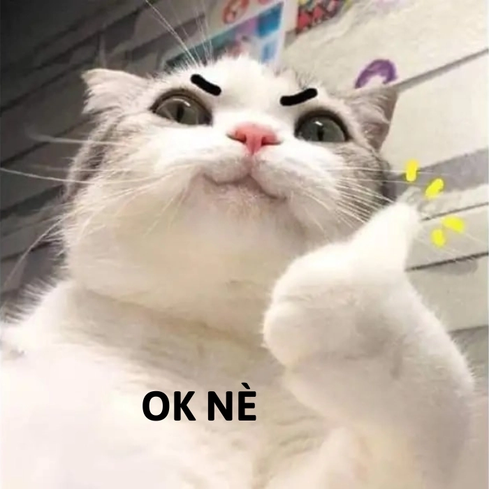 ảnh meme mèo đồng ý
