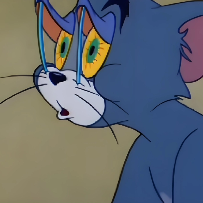 ảnh meme tom and jerry buồn ngủ