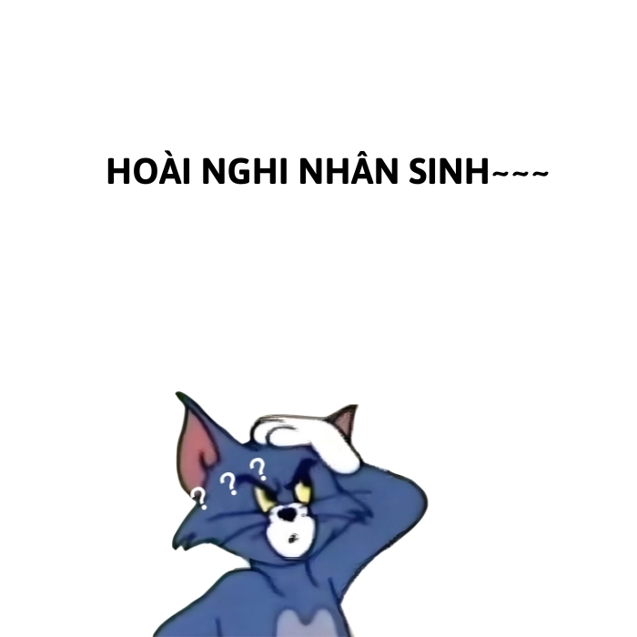 ảnh mèo tôm nghi ngờ meme
