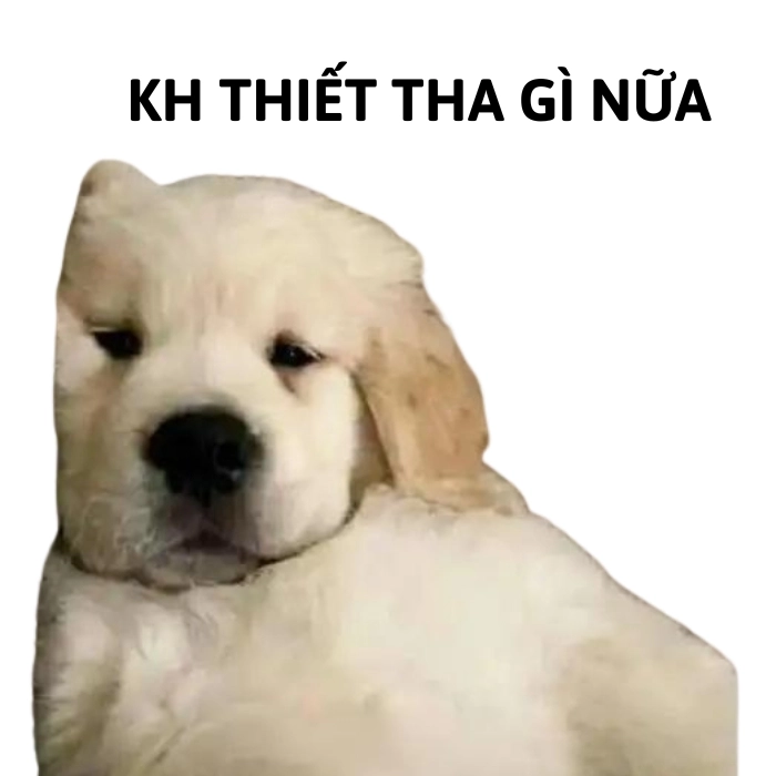 Tôi mệt lắm rồi meme chế
