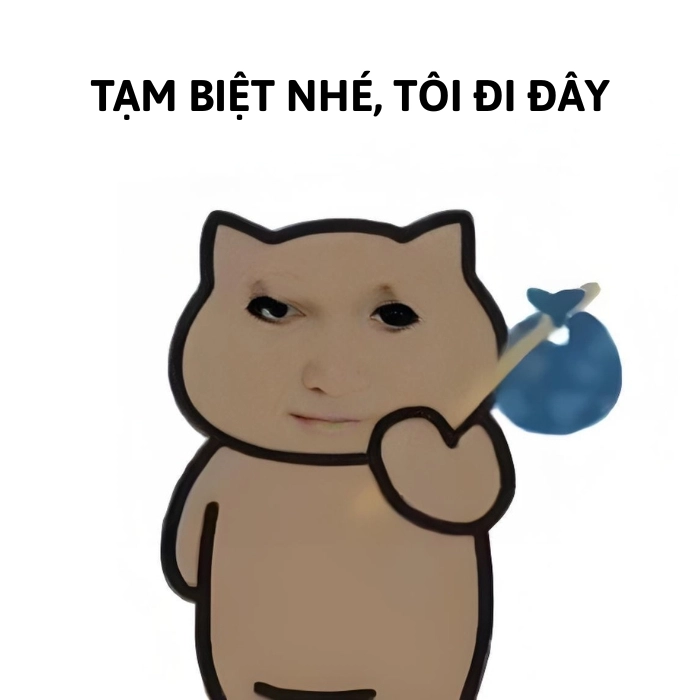 ảnh tạm biệt meme bỏ nhà đi