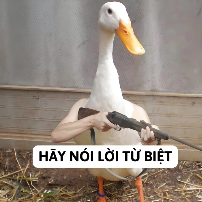 ảnh tạm biệt meme chế