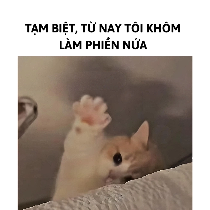 ảnh tạm biệt meme cute