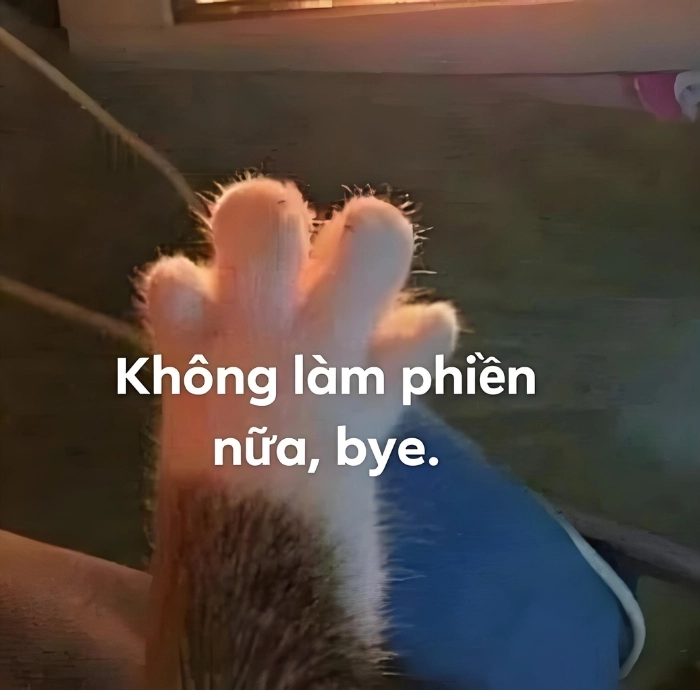ảnh tạm biệt meme không làm phiền